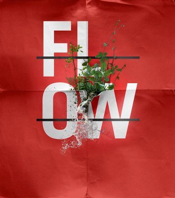 Feature film “Flow” by David Martínez go to the Cinemafest 2014 (San Luis Potosí, Mexico)